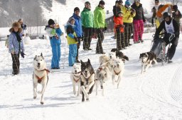 Lenk 2012 SM